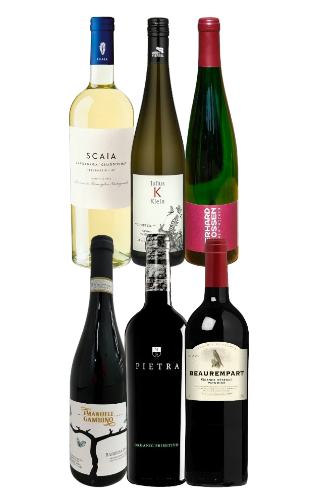 6 verschillende flessen wijnn, 3 rood, 3 wit. Viola's favorieten.